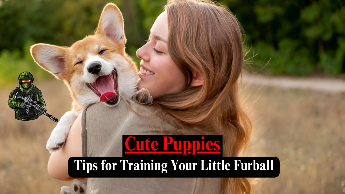 Cute Puppies